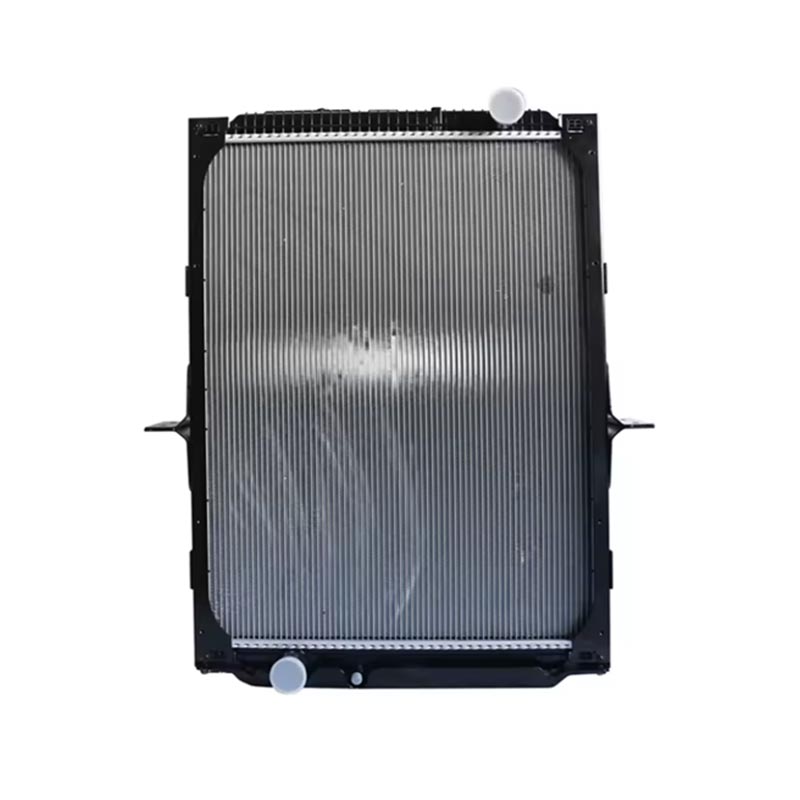 Radiatore accessorio motore DZ91125328
