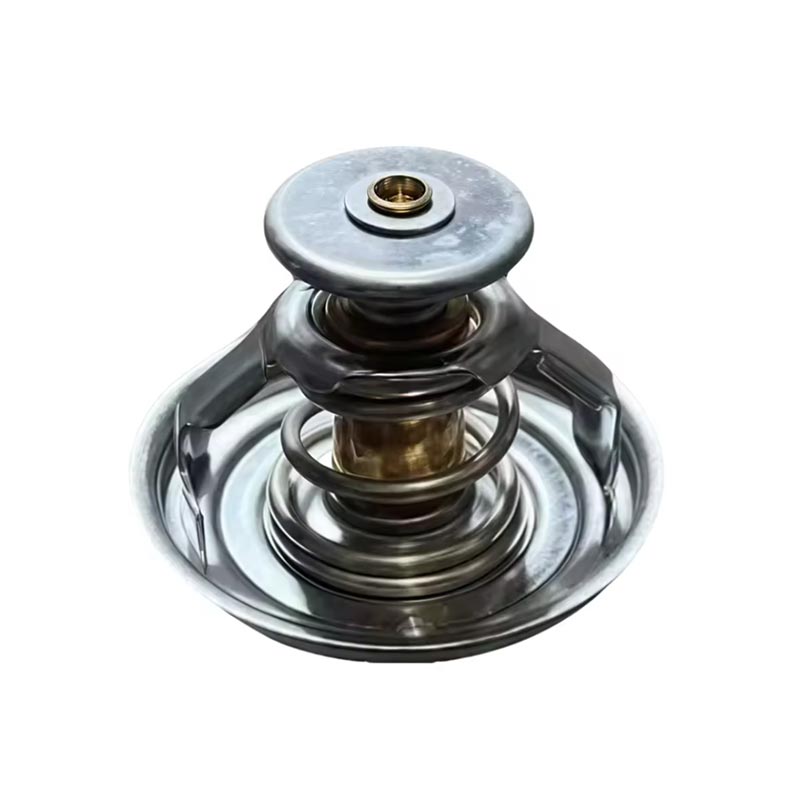 Termostato motore per camion 1000837830